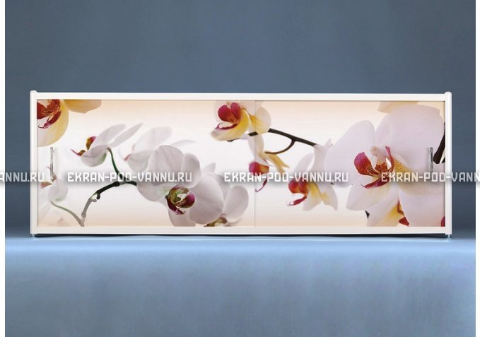 Раздвижной ФОТО экран - Orchid – купить по цене 8500 руб. в интернет-магазине в городе Уфа картинка 1