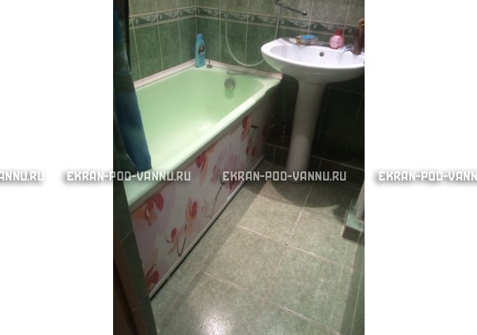 Раздвижной ФОТО экран - Orchid – купить по цене 8500 руб. в интернет-магазине в городе Уфа картинка 6