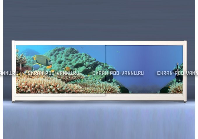Экран на роликах EUROPLEX Коралловые рифы – купить по цене 12400 руб. в интернет-магазине в городе Уфа картинка 1
